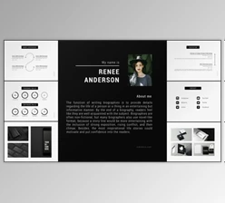 Download Portfolio CV (Videohive 23712563)