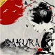 Download Sakura CS4+ Photoshop Action GraphicRiver-28714090