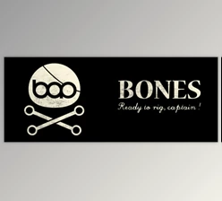Download BAO Bones 1.5.10 (Win, Mac)