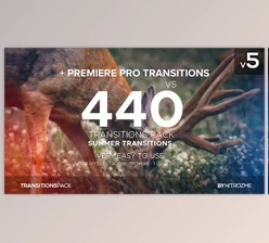 Download Transitions Pack v5 (Videohive 20074370)