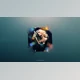 Download Elegant Strings (Videohive 9054786) For AE