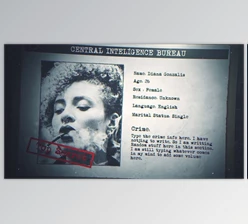 Download Criminal Profile (Videohive 29479847) - AE Project