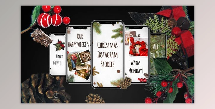 Download Christmas Instagram Stories (Videohive 29480659) - Ae Project