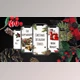 Download Christmas Instagram Stories (Videohive 29480659) - Ae Project