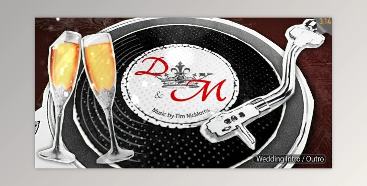 Download Wedding Intro & Wedding Outro (Videohive 3925582) - Ae Project