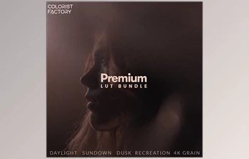 Download Premium LUT <span class='badge badge-warning'>Bundle</span> and 4K Grain Digital Remaster