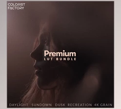 Download Premium LUT Bundle and 4K Grain Digital Remaster