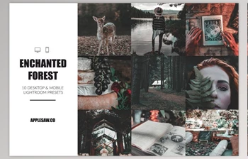 Download Enchanted Forest Lightroom <span class='badge badge-warning'>Presets</span> CreativeMarket-4957995