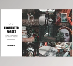 Download Enchanted Forest Lightroom Presets CreativeMarket-4957995