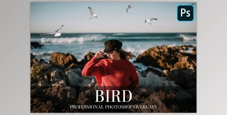Download Bird Overlays Photoshop CreativeMarket-4934539