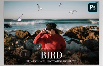 Download Bird Overlays <span class='badge badge-warning'>Photoshop</span> CreativeMarket-4934539