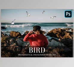 Download Bird Overlays Photoshop CreativeMarket-4934539