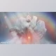 Download 2000+ Wedding Overlays Mega Bundle+ - AE Project For Wedding