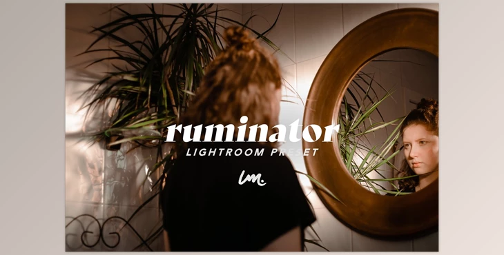 Download RUMINATOR | Lightroom Preset CreativeMarket-5529989