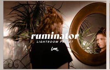 Download RUMINATOR | Lightroom <span class='badge badge-warning'>Preset</span> CreativeMarket-5529989
