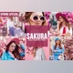 Download Mobile Lightroom Presets SAKURA CreativeMarket-4817731