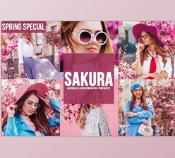 Download Mobile Lightroom Presets SAKURA CreativeMarket-4817731