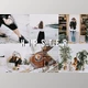 Download Aesthetic HIPSTER Lightroom Presets CreativeMarket-4806642
