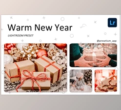 Download Warm New Year – Lightroom Presets CreativeMarket-5219602 DNG