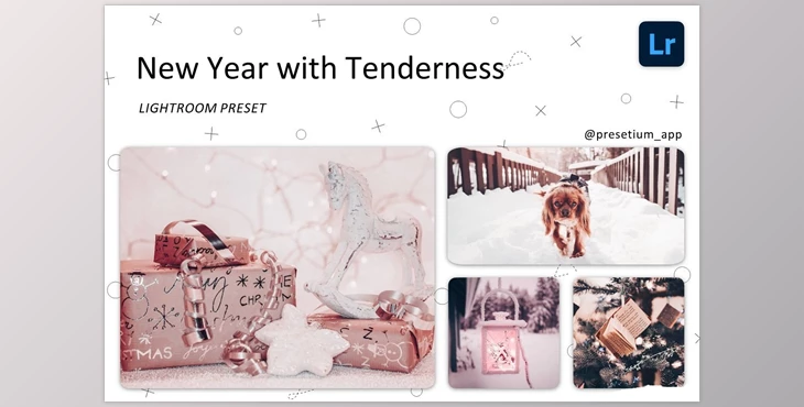 Download New Year – Lightroom Presets CreativeMarket-5219599 DNG