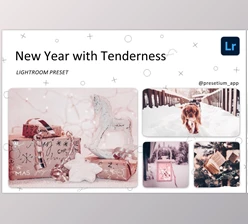 Download New Year – Lightroom Presets CreativeMarket-5219599 DNG