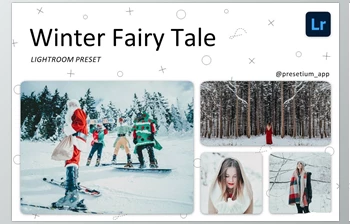 Download A Winter’s Tale – Lightroom Presets <span class='badge badge-warning'>CreativeMarket-5219586</span> DNG