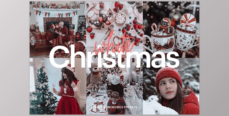 Download Lightroom Preset-White Christmas CreativeMarket-4976207 DNG