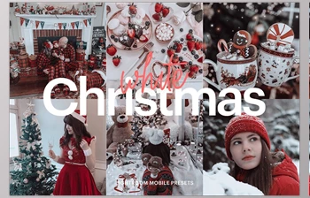 Download Lightroom Preset-White Christmas <span class='badge badge-warning'>CreativeMarket-4976207</span> DNG