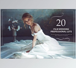 Download 20 Film Wedding LUTs Pack CreativeMarket-5602641 (XMP, JPG)