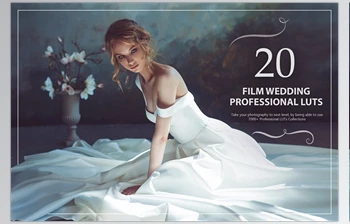 Download 20 <span class='badge badge-warning'>Film</span> Wedding <span class='badge badge-warning'>LUTs</span> <span class='badge badge-warning'>Pack</span> CreativeMarket-5602641 (XMP, JPG)