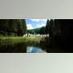 Download Film Impact Premium Video Effects v25.3.1 and Transitions v4.9.6 (Win)
