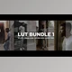 Download Ycimaging LUT Bundle – GOLD