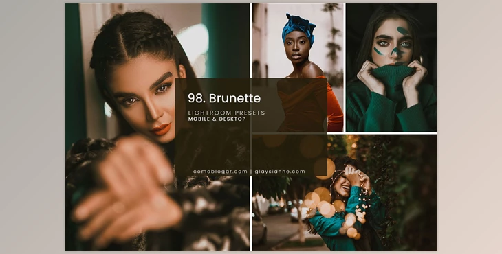 Download 98. Brunette Presets CreativeMarket-4998602 (DNG, XMP)