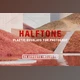 Download Halftone + Plastic Overlays CreativeMarket-5598574 (PNG)