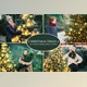Download Christmas Trees photo overlays CreativeMarket-5636334 (JPG, PNG)