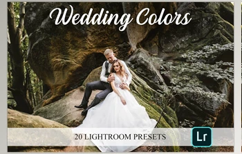 Download Lightroom Presets – <span class='badge badge-warning'>Wedding</span> Colors CreativeMarket-4821653 (LRTEMPLATE, XMP)