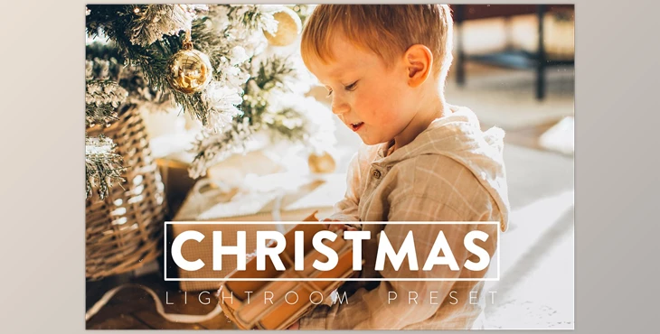 Download 10 CHRISTMAS Lightroom Preset CreativeMarket-5635257 (DNG, XMP)