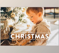 Download 10 CHRISTMAS Lightroom Preset CreativeMarket-5635257 (DNG, XMP)