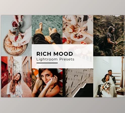 Download 10 Rich Mood Lightroom Presets CreativeMarket-5435093 (LRTEMPLATE)