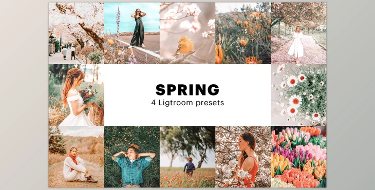 Download 4 Spring Lightroom Presets CreativeMarket-5627531 (XMP, DNG, PNG)