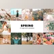 Download 4 Spring Lightroom Presets CreativeMarket-5627531 (XMP, DNG, PNG)