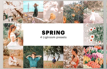 Download <span class='badge badge-warning'>4</span> Spring Lightroom Presets CreativeMarket-5627531 (XMP, DNG, PNG)