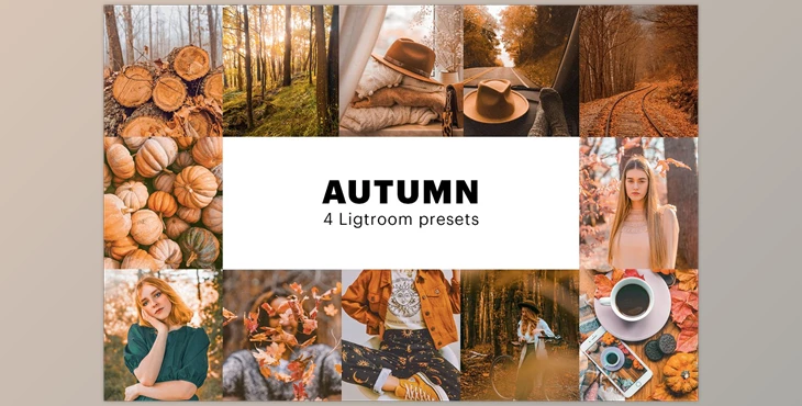 Download 4 Autumn Lightroom Presets CreativeMarket-5627655 (XMP, DNG, PDF, PNG)