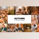 Download 4 Autumn Lightroom Presets CreativeMarket-5627655 (XMP, DNG, PDF, PNG)