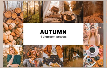 Download <span class='badge badge-warning'>4</span> Autumn Lightroom Presets CreativeMarket-5627655 (XMP, DNG, PDF, PNG)