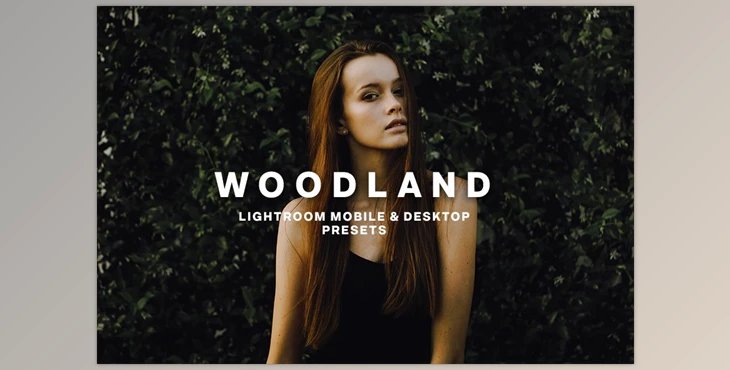 Download WOODLAND Lightroom Presets CreativeMarket-5373041 (DNG , Irtemplate)