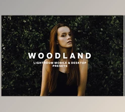 Download WOODLAND Lightroom Presets CreativeMarket-5373041 (DNG , Irtemplate)