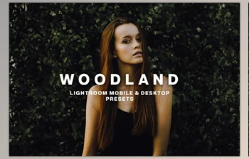 Download <span class='badge badge-warning'>WOODLAND</span> <span class='badge badge-warning'>Lightroom</span> <span class='badge badge-warning'>Presets</span> CreativeMarket-5373041 (DNG , Irtemplate)