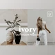 Download 4 Lightroom Presets IVORY CreativeMarket-5541040 (DNG, XMP)