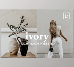 Download 4 Lightroom Presets IVORY CreativeMarket-5541040 (DNG, XMP)
